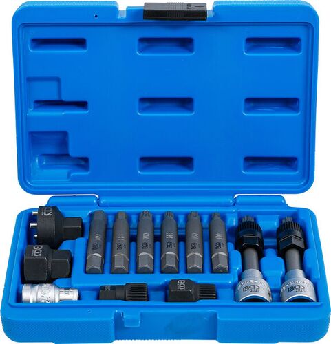 BGS Lichtmaschinen Bit-/Bit-Einsatz-Satz | Antrieb 12,5 mm (1/2