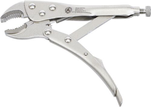 BGS Gripzange | 175 mm 489 